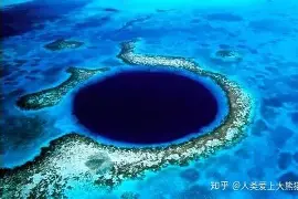 莎拉波娃关键助攻再成焦点(武贾西奇说莎拉波娃干起来像田鸡)|CQ9电子体育直播